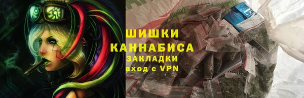 молекула духа Белоозёрский
