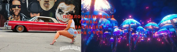 прущая мука Белокуриха