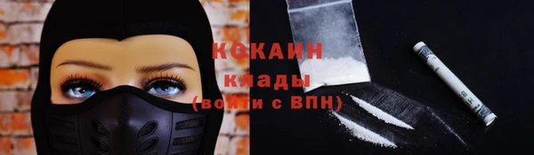 прущие крисы Беломорск