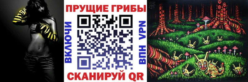 Псилоцибиновые грибы ЛСД  продажа наркотиков  Борисоглебск 